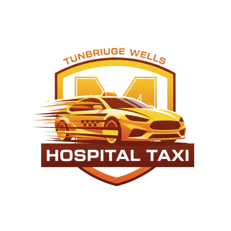 hospital website logo taxi